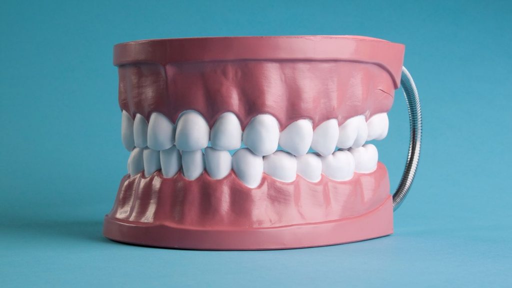 We’re Proud to Take Care of Saskatoon’s Little Smiles